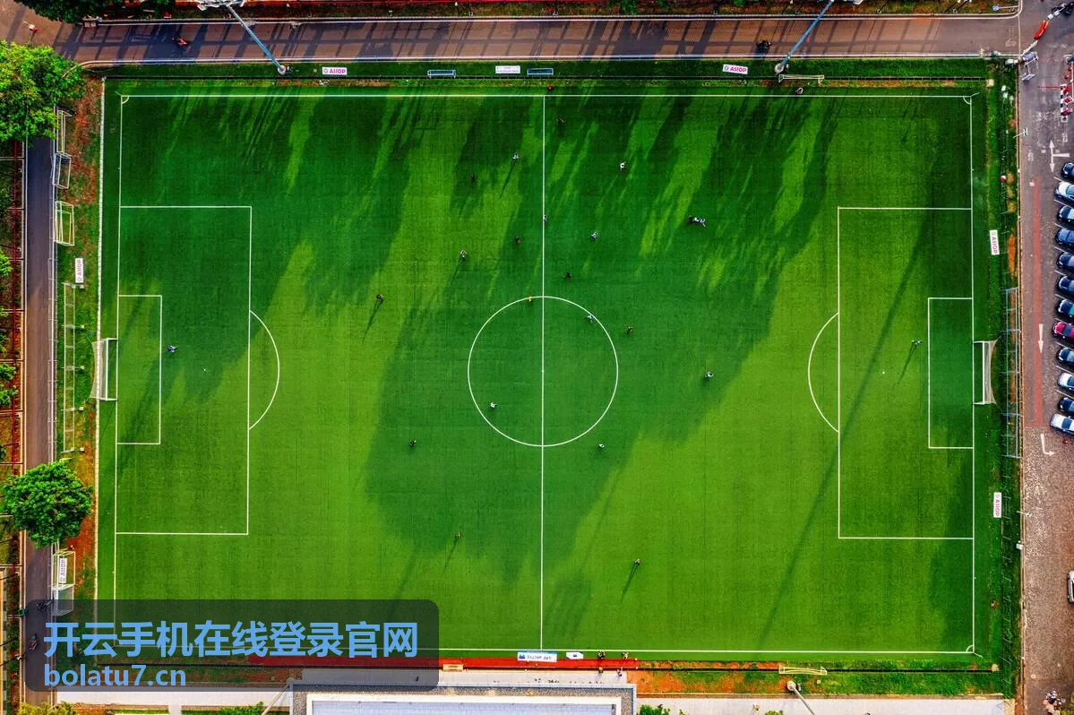 开云手机在线登录官网企业业务办理登录场景